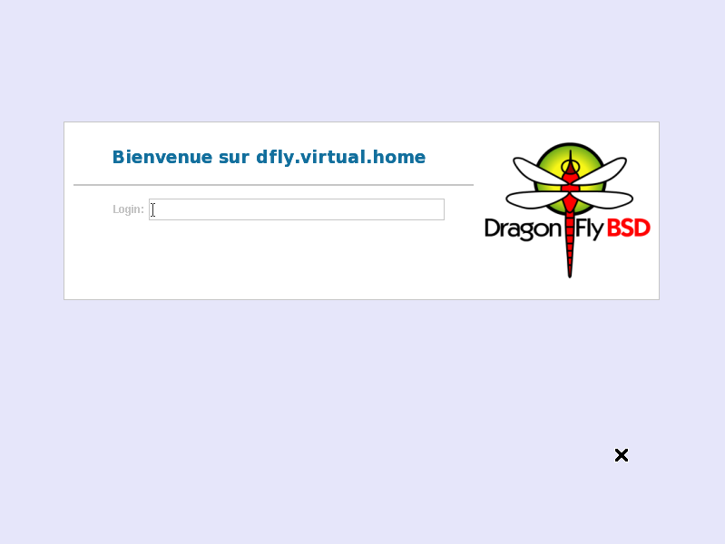 xdm-custom.png xdm-custom.png
